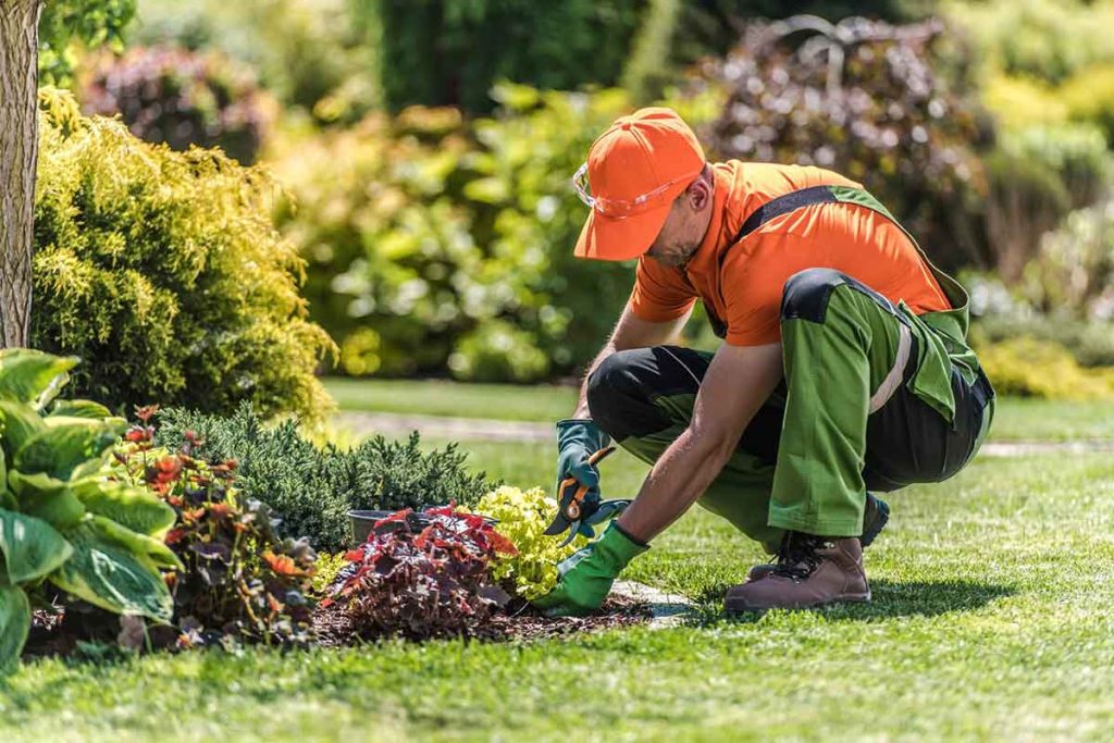 Castro Landscaping team at work
